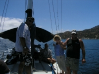 opt 021.jpg